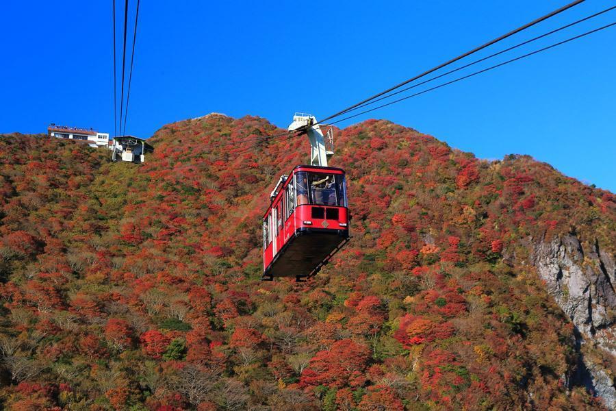 【九州玩楓了】秋月城跡、高千穗峽、環境藝術之森、大興善寺、雲仙纜車6日