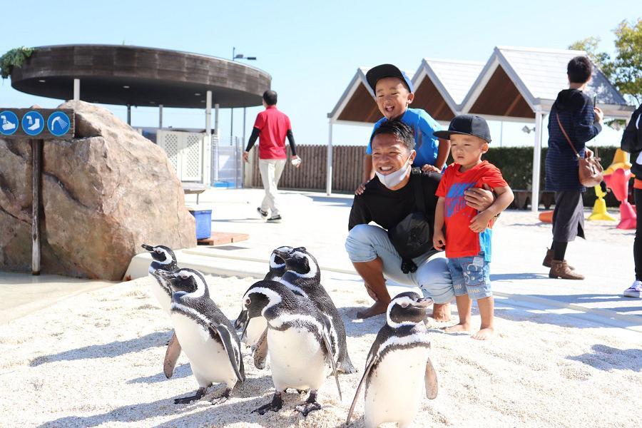 【典藏九州親子遊】熱汽球體驗、三麗鷗主題樂園、邂逅海洋動物5日