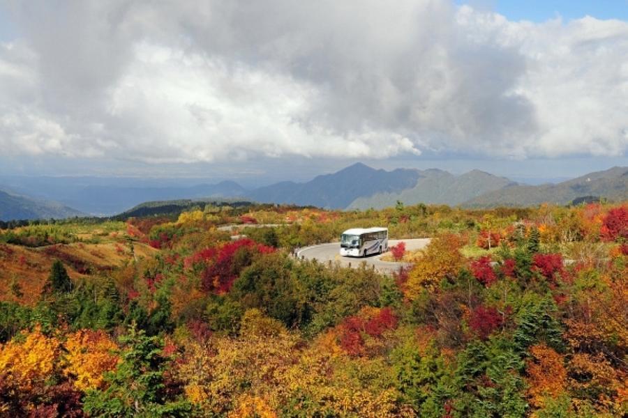 【典藏加賀屋姐妹館】秋楓立山、黑部峽谷鐵道、合掌村兼六園、溫泉美饌5日