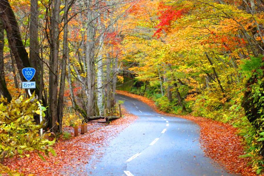 【精選東北】丹紅奧入瀨、楓滿八甲田、緋染鳴子峽、丹楓迎秋、仙台青森5日