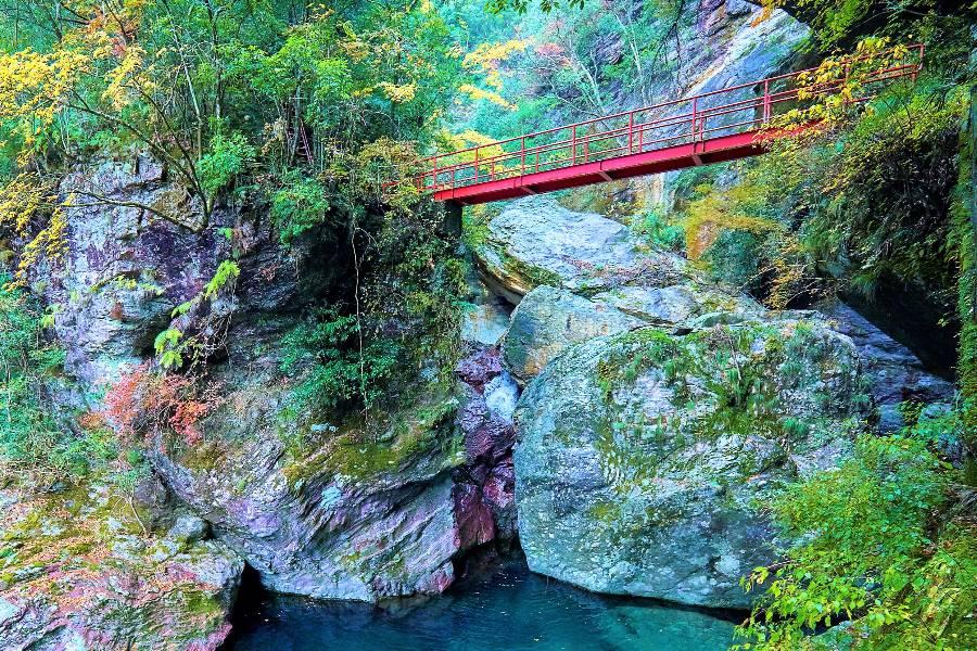 【精選四國】松山賞楓包機‧保住百選溫泉‧道後高知‧炙燒鰹魚美食溫泉5日