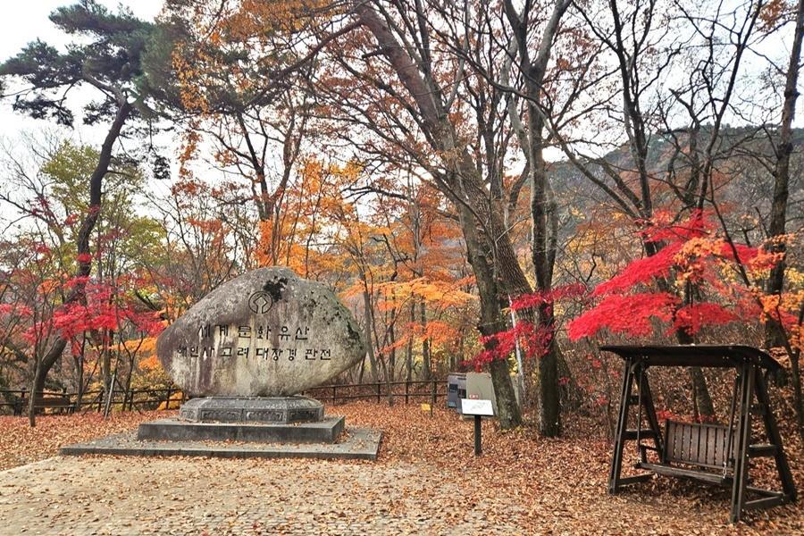 【楓遊釜慶邱】絕美伽耶山紅流洞溪谷、跑跑卡丁車、沉浸式藝術光影5日