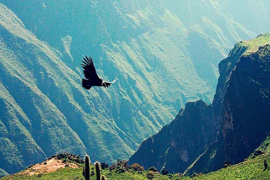 【拉美筆記首章-秘魯】印加文明、馬丘比丘、神鷹峽谷 秘魯單國13日
