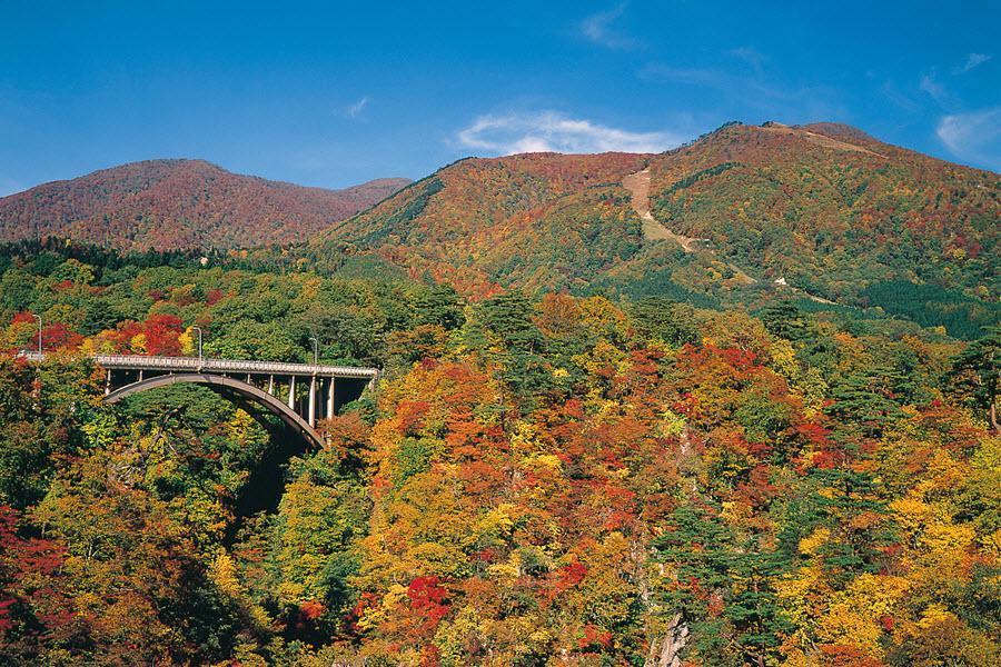 精選●秋楓東北～藏王纜車‧中尊寺‧合掌村‧五色沼‧嚴美溪‧和牛溫泉7日