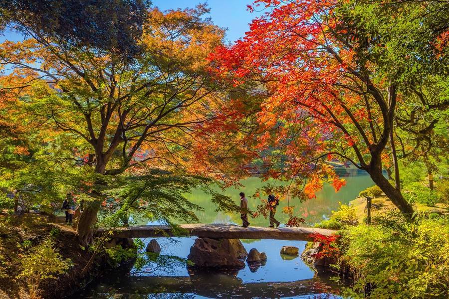典藏｜東京賞楓x輕井澤英迪格～河口湖紅葉祭．高尾山纜車．螃蟹吃到飽7日
