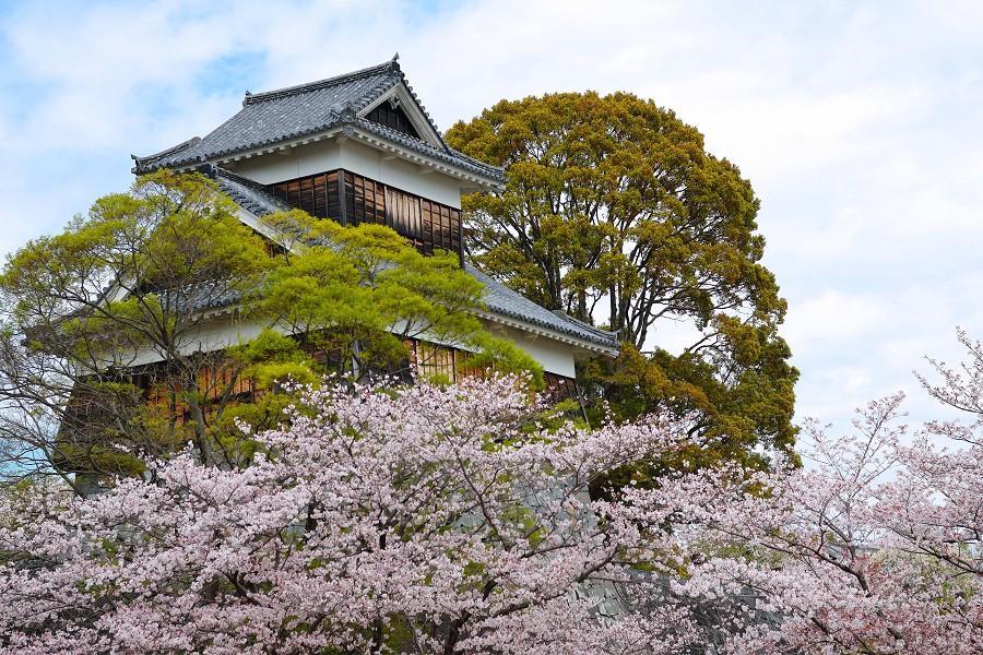 【精選九州】南阿蘇鐵道、柳川搖擼船、金鱗湖、熊本城春櫻盛宴5日