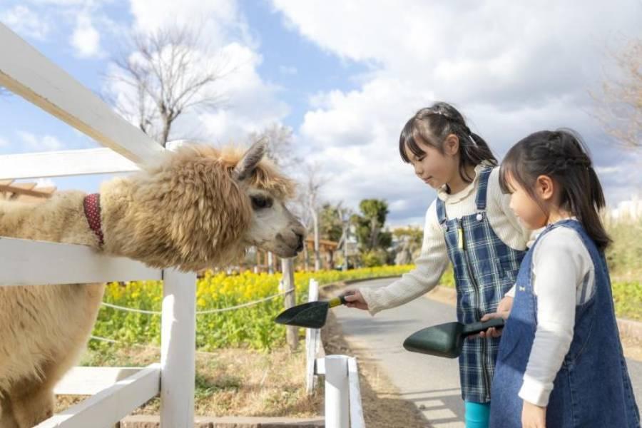 【精選關西】日本航空‧環球官方飯店‧神戶動物王國‧和牛龍蝦饗宴7日