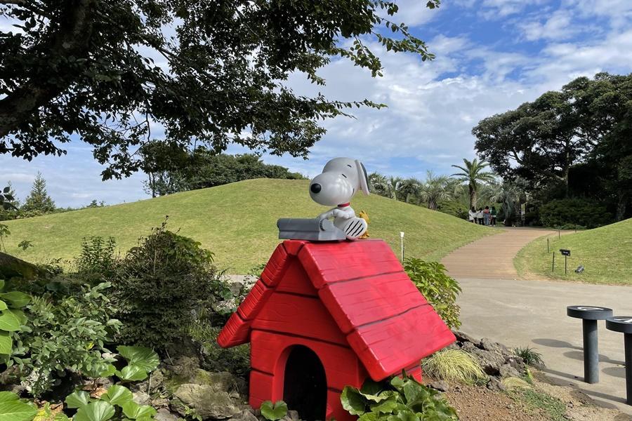 【買一送一】濟州史努比花園~蔚藍海景咖啡、黃金油菜花、城山日出峰4日