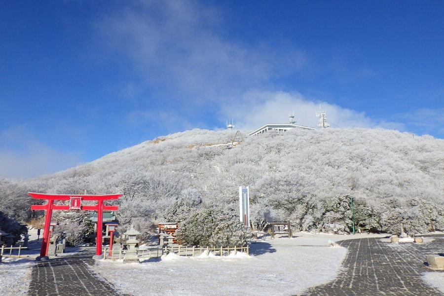 【冬戀九州】別府霧冰纜車、採草莓放題、宇佐炸雞餐、熊本城、旅人列車5日