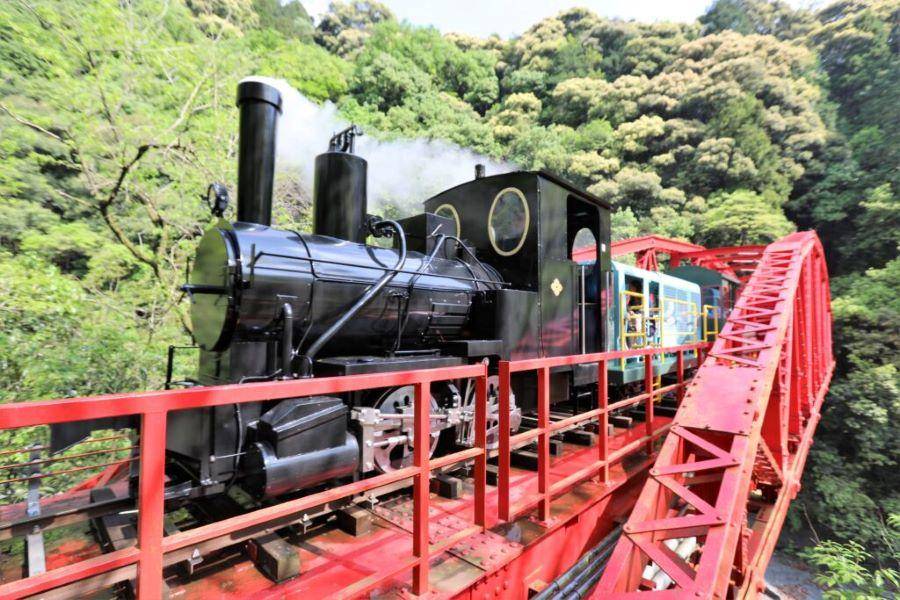 【探索四國】小豆島寒霞溪.別子銅山高知栗林.葛橋大步危.松山城道後6日