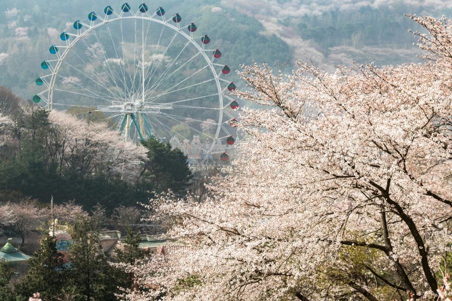 【繽紛韓國】升等明洞、愛寶樂園、戀歌南怡島、變裝遊古宮、現代百貨5日