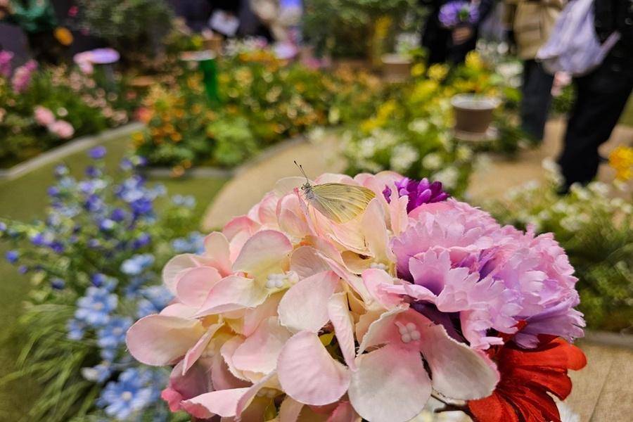 【繽紛韓國】升等明洞、愛寶樂園、戀歌南怡島、變裝遊古宮、現代百貨5日