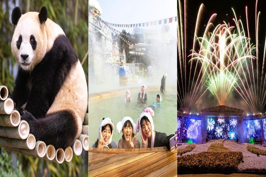 【一站彩妝】冬雪愛寶樂園.加勒比海灣水上樂園.雪之園.明洞逛街4日