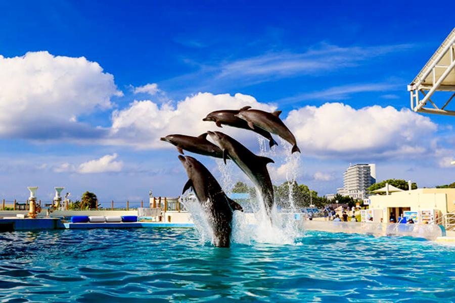 【愛戀沖繩】美麗水族館、銀河半潛艇、水上獨木舟、玉泉洞、沙灘BBQ5日