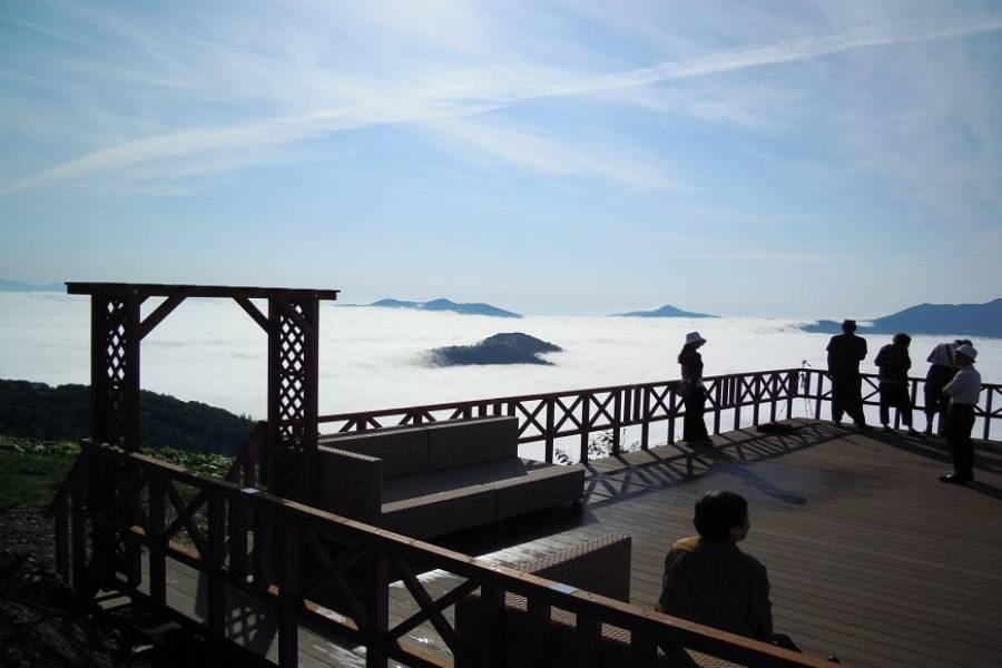 【奢華北海道之雙風星野】彩虹花田、函館夜景、洞爺煙火、三大螃蟹五日遊