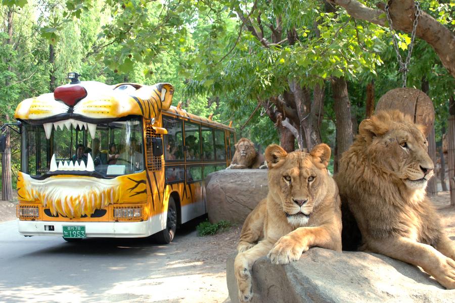 【獨家升等市區】愛寶野生動物園、特麗愛3D藝術、韓服遊北村、下午茶5日
