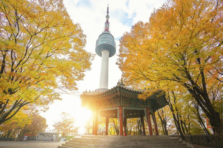 【二晚市區】韓式炸雞體驗、愛寶樂園、美人魚秀、韓服遊古宅、南山賞楓5日