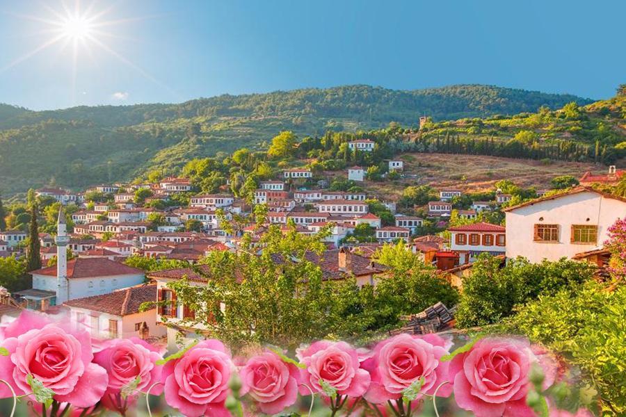 【玫瑰土耳其】布爾薩、網美希臘小鎮、安塔麗亞、黑海小鎮連泊、五星15日