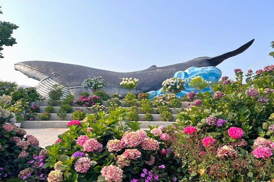 【春遊釜蔚邱】海洋觀光列車. 韓服體驗&塗鴉秀.艮絕岬希望郵筒5日