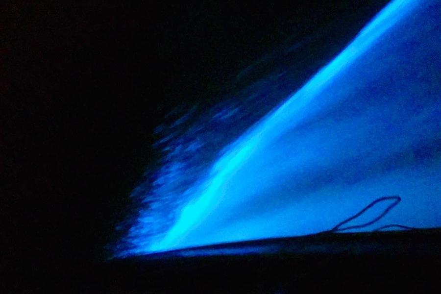 星光螢螢耀馬來~黃金棕櫚水上屋、夢幻螢火蟲、絕美藍眼淚、古城馬六甲六日