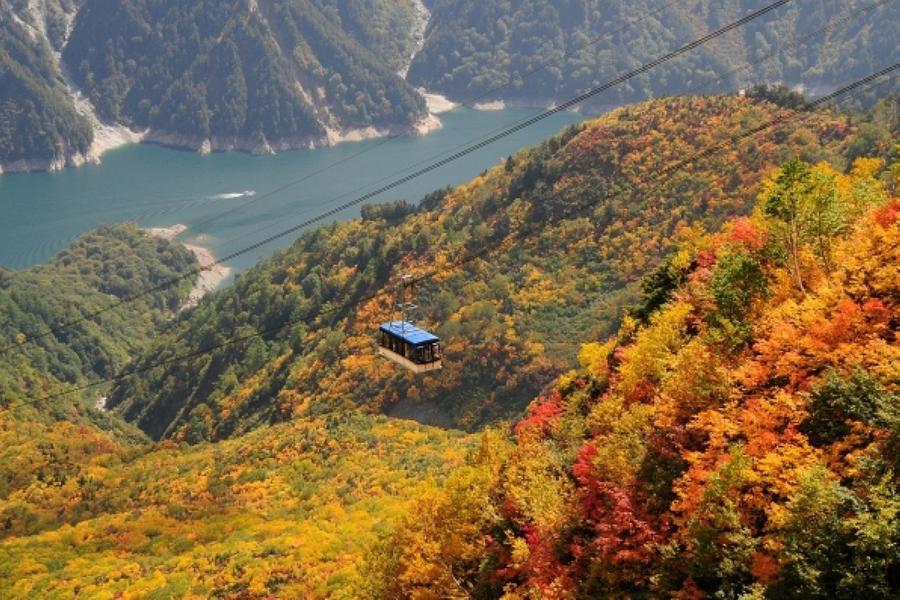 【立山楓彩】兼六園.立山.上高地.高山飛驒.合掌村.名花之里.大阪５日