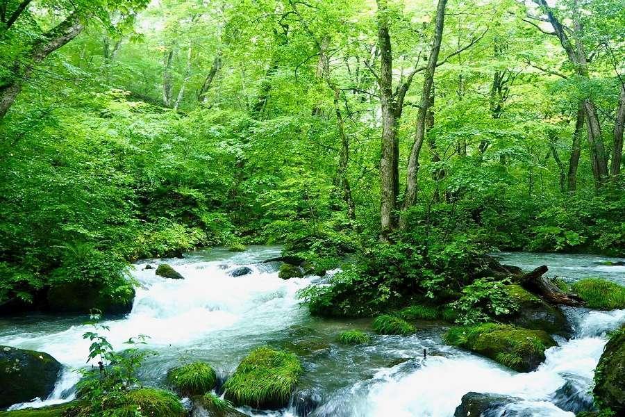 【限時限量】淨土之濱、藍洞小船、內陸鐵道、八食中心、海鮮溫泉青森遊5日