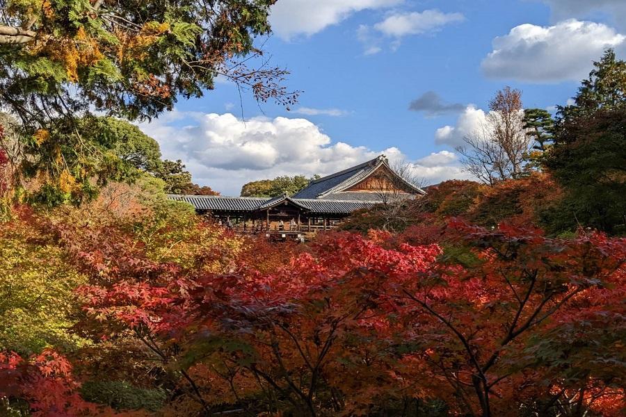 【精選關西】紅葉四都‧東福寺‧永觀堂‧兩晚溫泉‧螃蟹神戶牛吃到飽5日