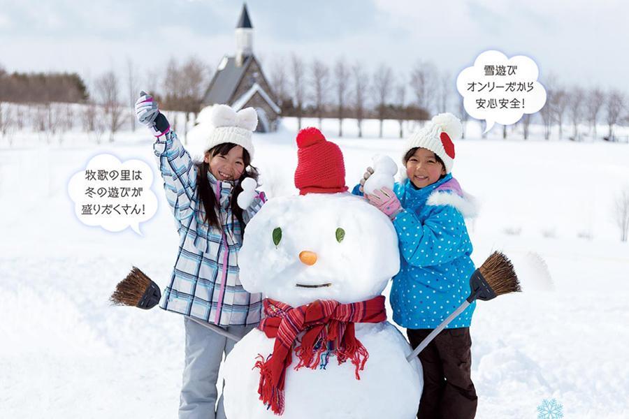 限時限量名古屋｜北國戲雪樂購、新纜高纜車、雙溫泉合掌村、舞動昇龍道6日