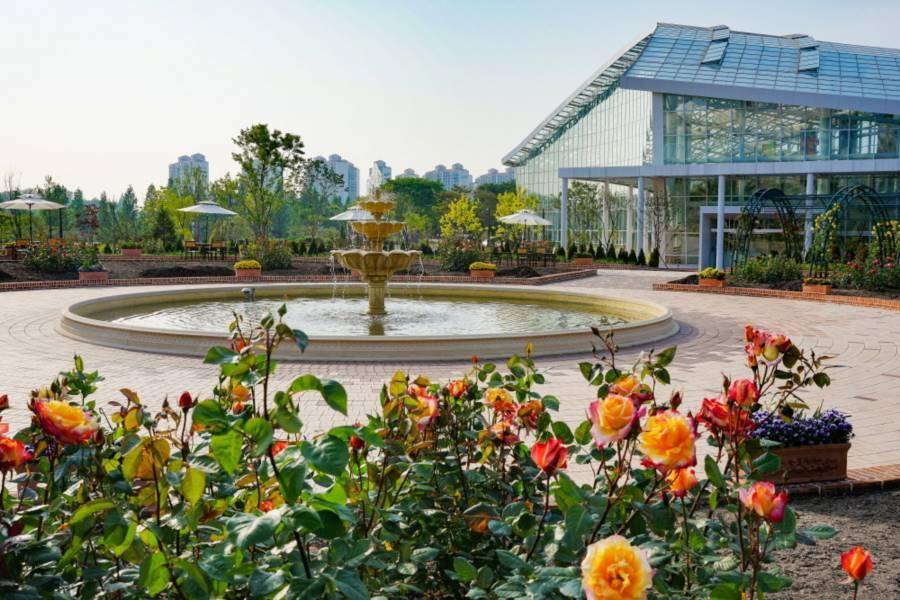 【閃耀韓國】最美星空圖書館、稻花農夫體驗、淚之女王樹木園、愛寶樂園6日