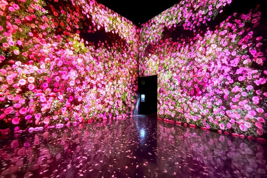 【精選釜蔚三城】草莓農場、沉浸式光影、雲霄飛車天空步道、絕美海岸線5日