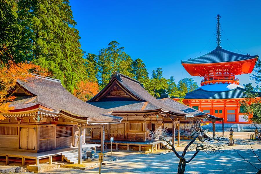 【維京遊輪-伊敦號】山海秘境、小豆島、高野山、鳴門漩渦、湯煙地獄11天