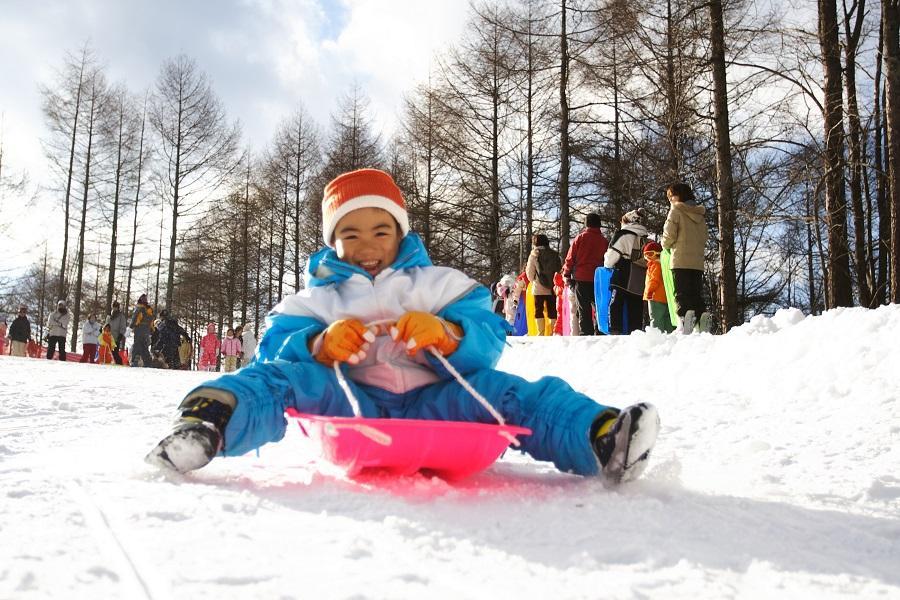 賀春【東京花放假】迪士尼、橫濱纜車、雪盆、採果、梅花祭、和牛、溫泉5日