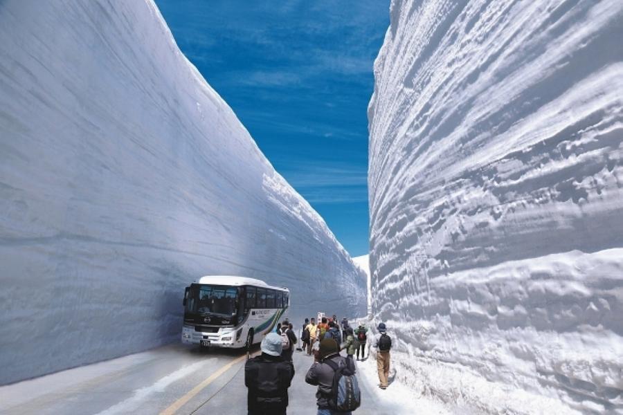 限時限量小松｜純享北陸礪波鬱金香、立山黑部雪牆、上高地5日-不進免稅店