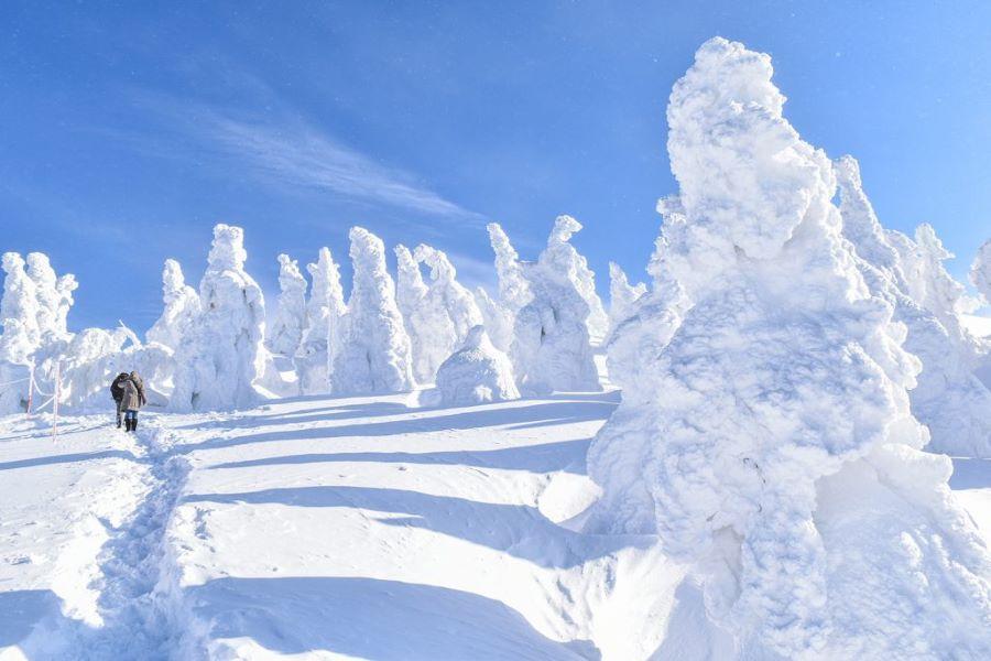 【限時限量東北】八甲田樹冰、雪角館、猊鼻溪遊船、睡魔村、仙青享溫泉5日