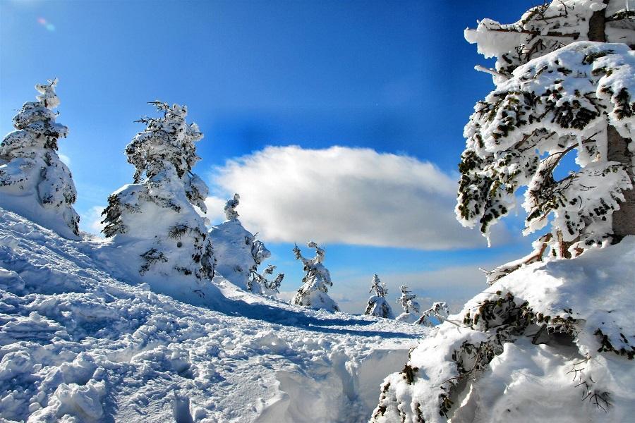 精選｜五星東北●藏王樹冰～銀山溫泉．合掌村．狐狸村．採果戲雪．溫泉7日