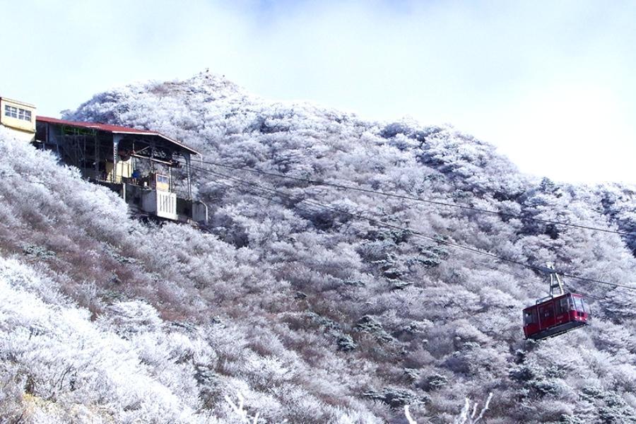 【精選九州】雲仙纜車、柳川遊舟、櫻島篤姬風采、JR新幹線體驗5日