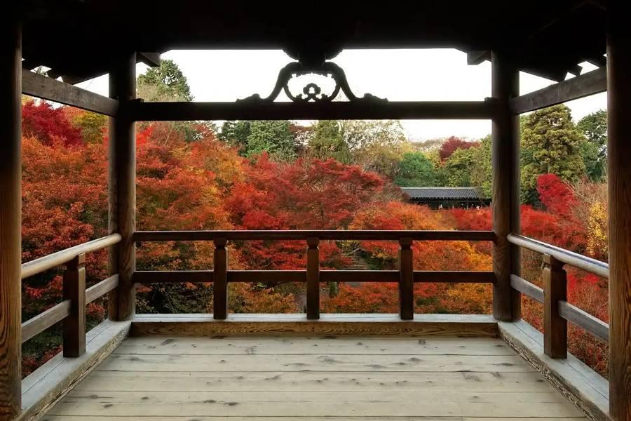 【閃亮秋楓】嵐山大河內.東福寺.叡山電鐵.有馬古街須磨離宮貴船大阪5日