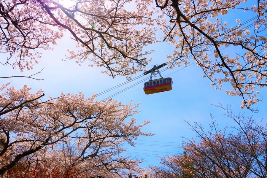 【典藏九州花舞漫旅】由布院列車、柳川金鱗湖、別府纜車、蟹盛宴5日