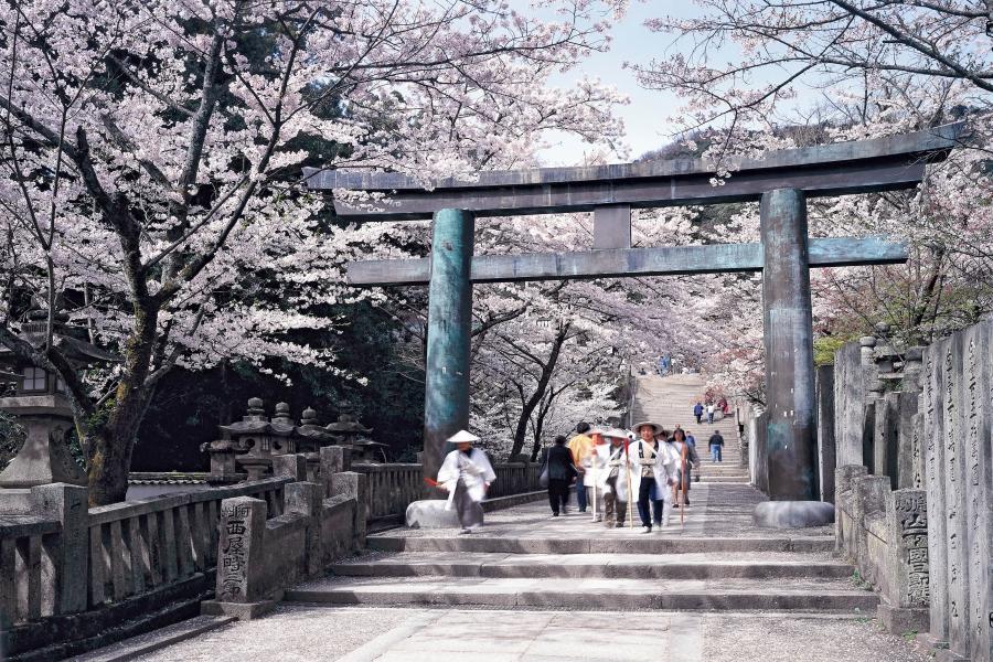 【花見四國高松】百選溫泉兩晚．小豆島．大步危遊船．道後溫泉５日