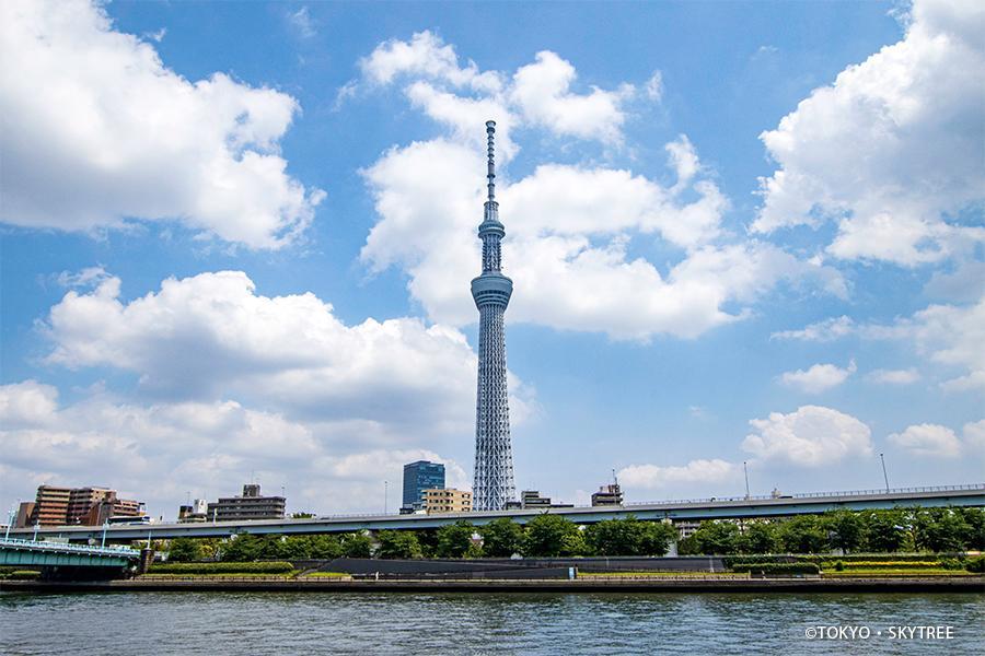 【燦爛東京】歡樂迪士尼、晴空塔、築地市場、富士纜車、螃蟹、溫泉5日