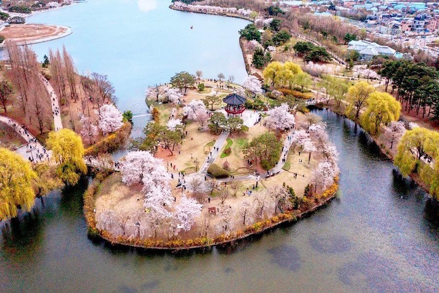 【首爾櫻花秘境】愛寶樂園.最美櫻花隧道.一山湖水公園.跑跑卡丁車5日