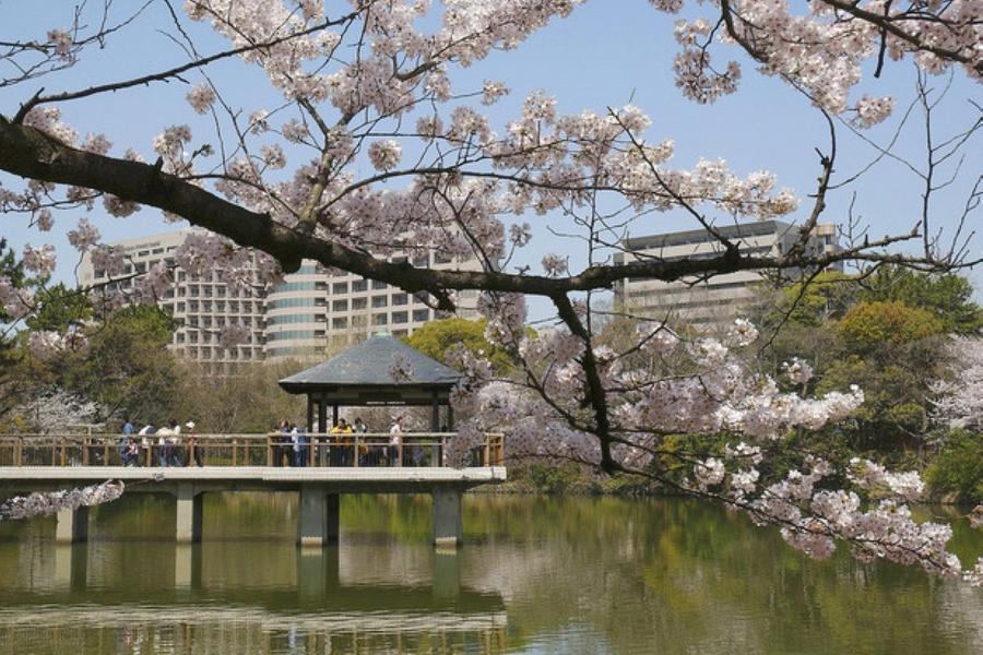 精選名古屋｜保住萬豪系列酒店、舟遊庄川峽、長良川鐵道、百選櫻之賞6日