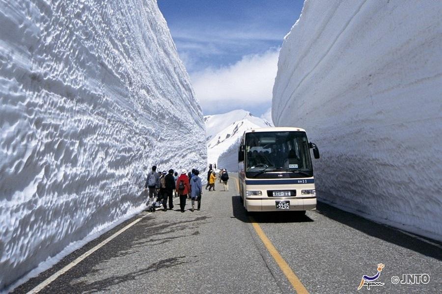 【花現立山】大阪.兼六園.立山雪牆.上高地.飛驒.合掌村.宇治紫藤5日