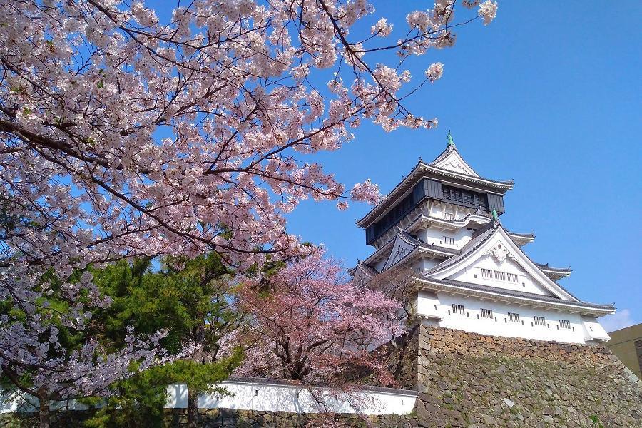 【典藏九州‧別府和藏】雙城櫻繽紛、柳川遊船、採草莓趣、浪漫湯布院5日