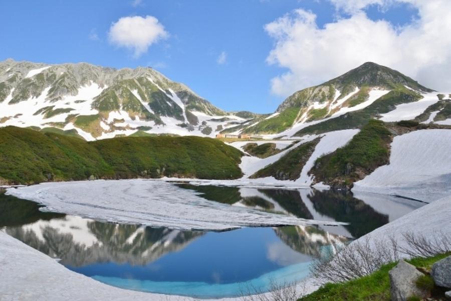 限量松東雙城｜立山雪牆、紫藤粉蝶、杜鵑鬱金香、雙名園雙溫泉花之絕景7日