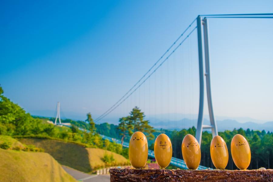 【東京花風潮】迪士尼、三島大吊橋、久能山、靜岡鮪魚、鎌倉大佛、溫泉6日