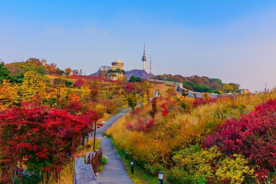 【韓國買一送一】升等豪華五星、樂天世界、最高樂天塔、南山賞秋景5日