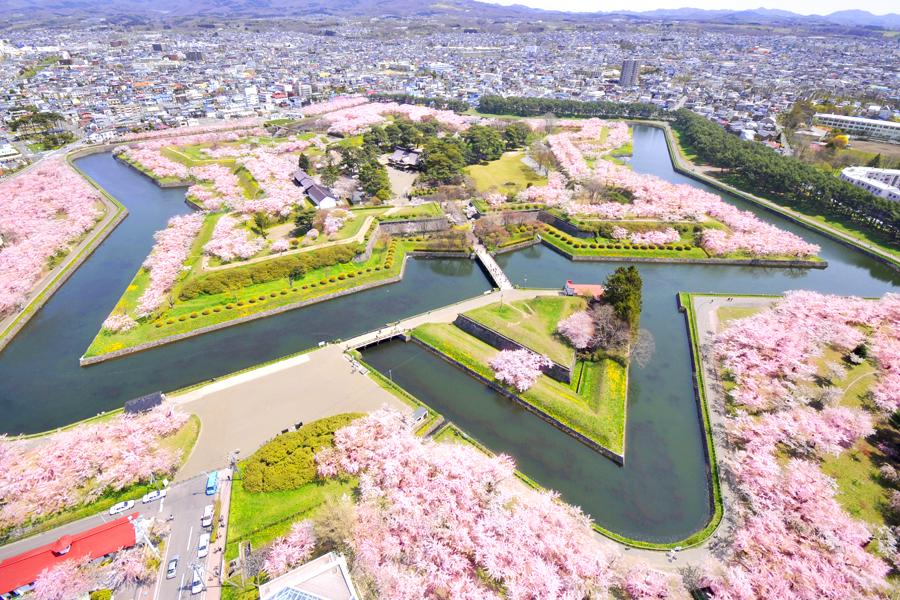 【北海道櫻姿曼妙】函館山纜車.有珠善光寺.五陵廓粉櫻.松前城公園5日