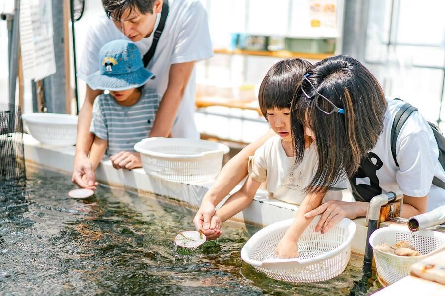 台中出發【FUN暑假】海葡萄農場、星野咖啡、海景餐廳、美國村四日