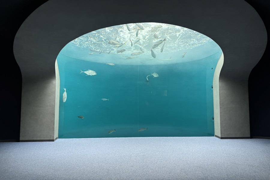 【精選四國愛媛】四國水族館‧淘金小火車‧遊覽船烏龍麵‧保住道後名湯5日